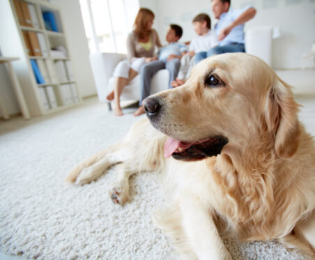 Family and their dog enjoying their home.
